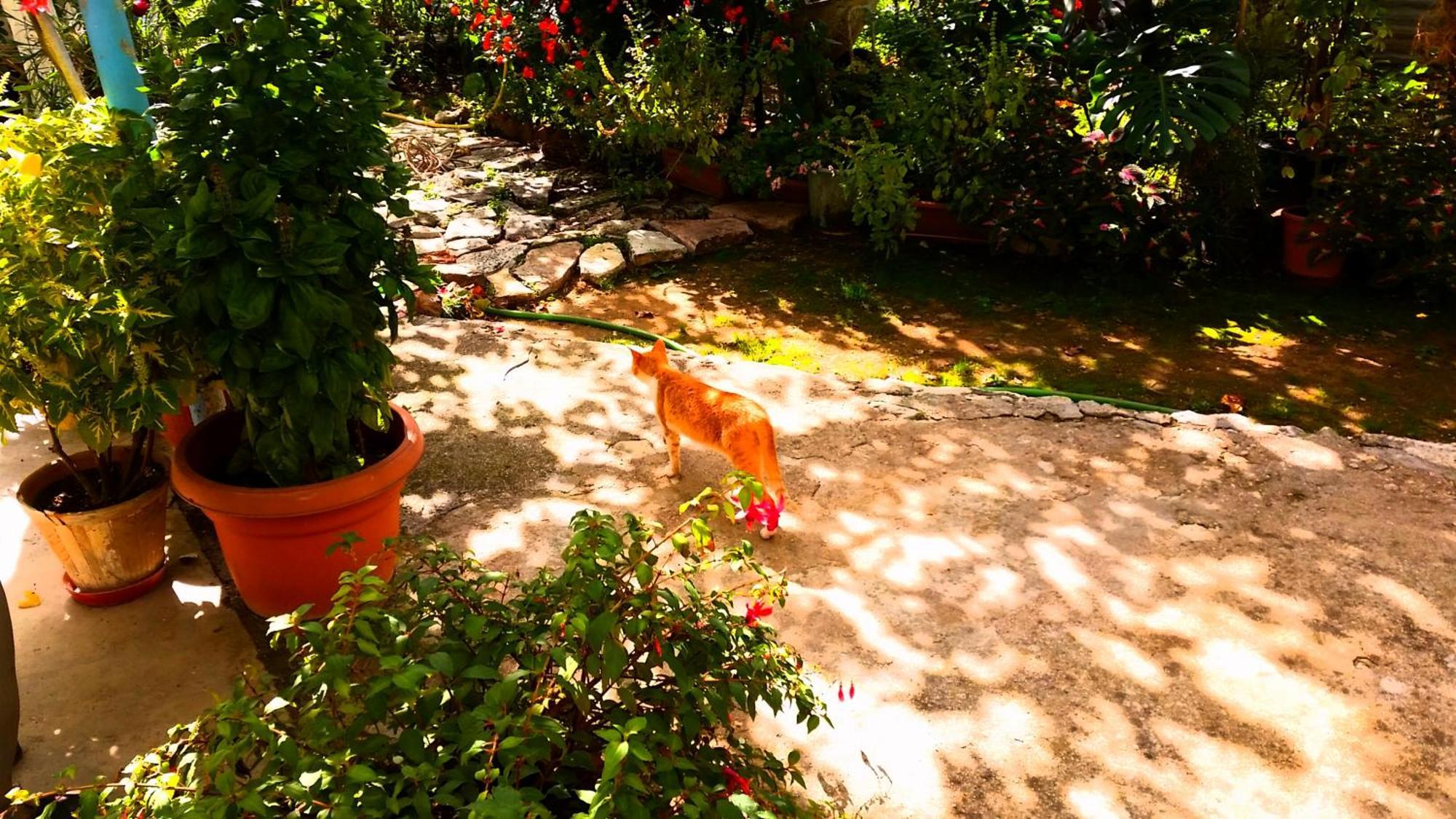 The Grandfather'S Room ฮีมาเรอ ภายนอก รูปภาพ